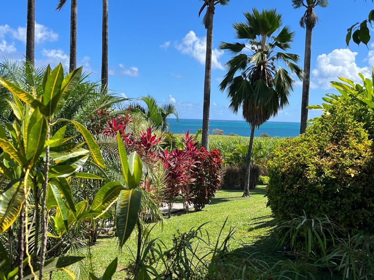 Indigo Palmes Villa Sainte-Rose Exterior photo